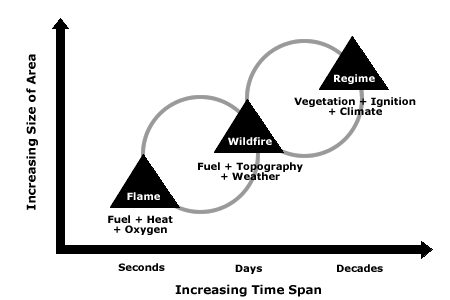 Moritzâ€™ Fire Triangles